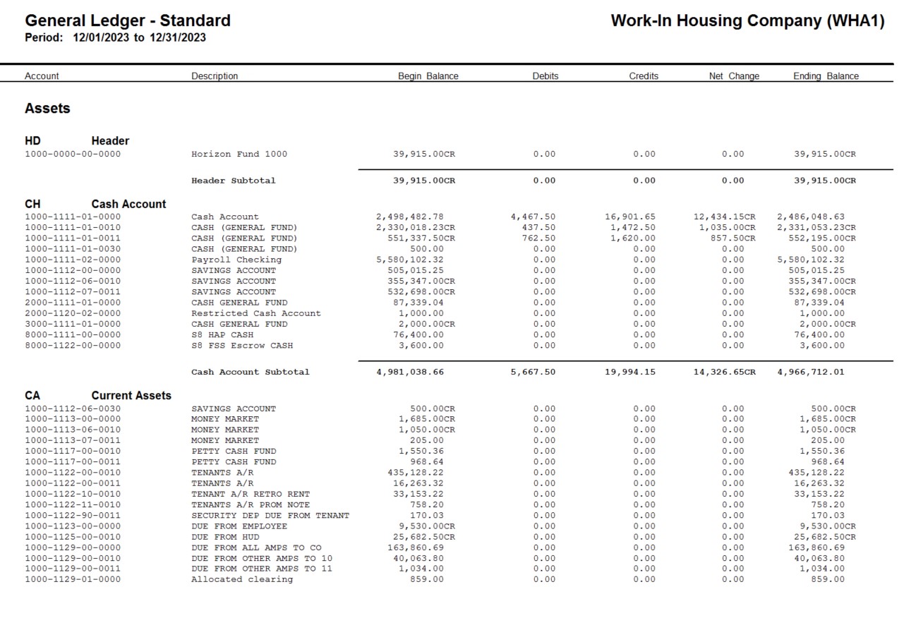 General Ledger Standard Report - Balance Sheet and Income Statement